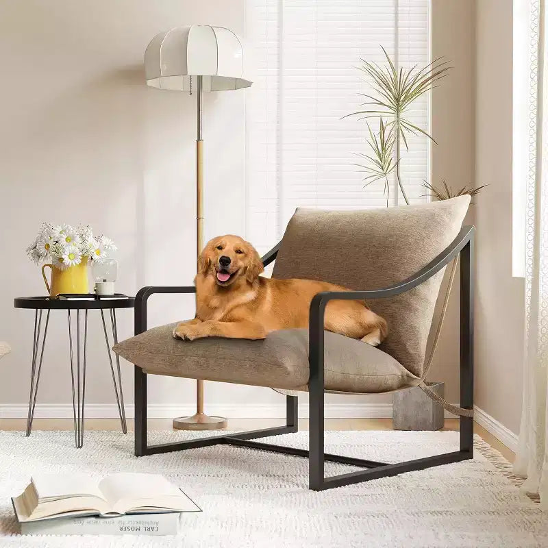 Acekool Compact Lounge Chair - Versatile Single Seater with Cushion for Living Room, Study or Porch (Multiple Colors Available)