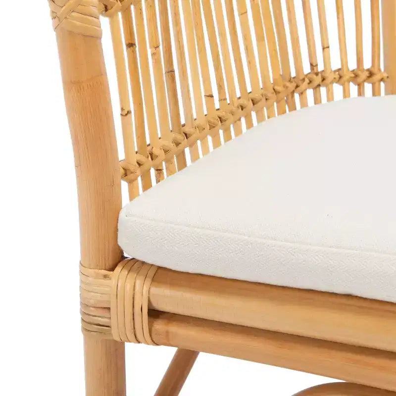 Olivia Rattan Accent Chair W/ Cushion - ACH6516 - Safavieh
