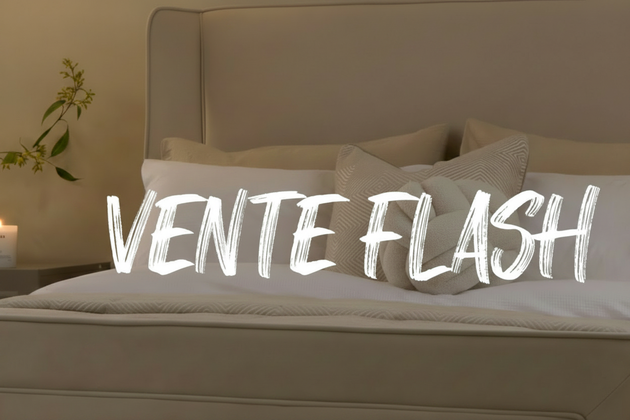 VENTE FLASH 居中高清版
